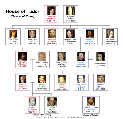 ultimo erede dnastia tudor|heiress of the house of tudor.